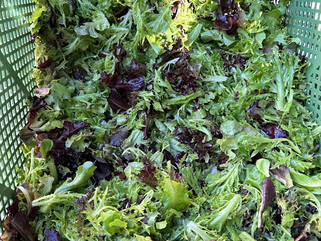 Salad mix